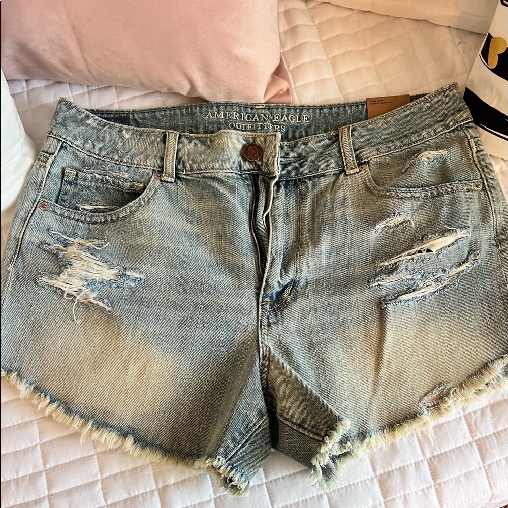 NWT AE Festival Shorts